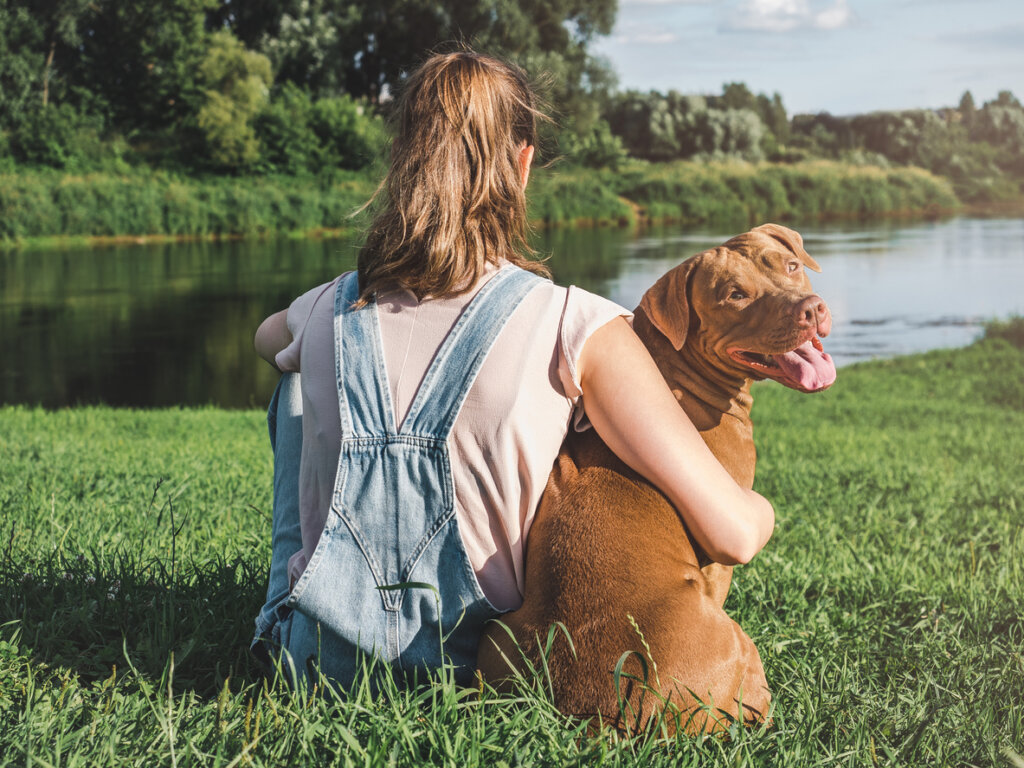 Sai tutto ciò che l assicurazione per animali domestici può fare