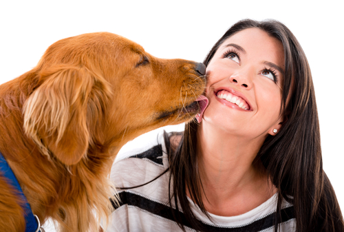 I "baci" dei cani e i loro segreti