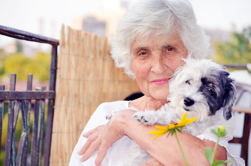 I benefici degli animali sulle persone anziane