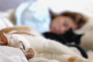Sapevate che i fiori di Bach migliorano la qualità di vita dei vostri animali da compagnia?