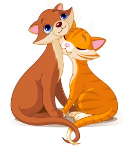 L'accoppiamento e il calore nei gatti