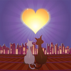 I gatti e il sesso, una forza della natura