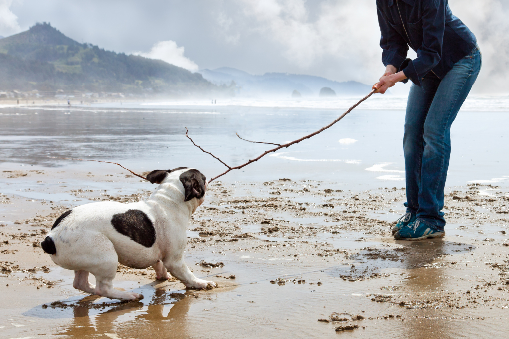 gioco-del-tira e molla-3-1024x682