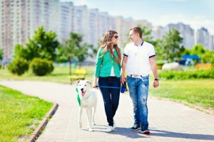 Benefici che i cani apportano alla nostra salute