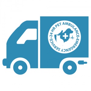 Come prendersi cura di un cane ferito