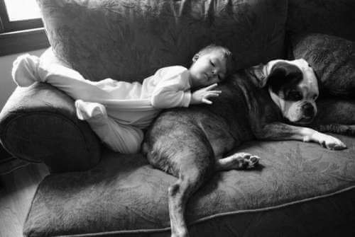 bambino e cane dormendo