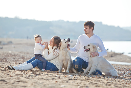 famiglia con i cani