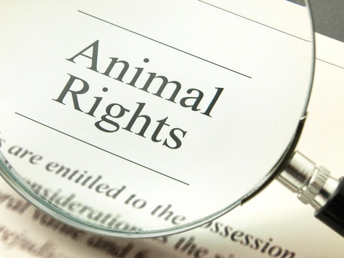 La Dichiarazione Universale dei Diritti dell’Animale