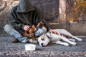 Fedeltà a prova nei peggiori momenti: mendicanti con i loro cani