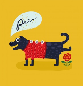 Insegnate al cane ad essere pulito