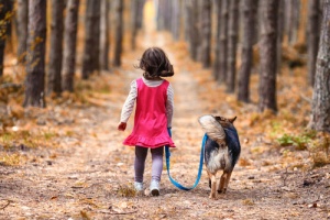 Un cane protegge durante tutta la notte una bambina sperduta in un bosco