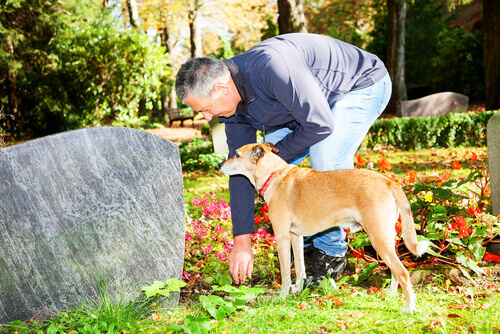 Un cane rimane sulla tomba del suo padrone