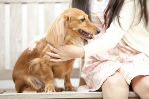 6 cose da sapere prima di accarezzare un cane