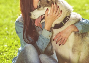 L'arte di non arrabbiarsi con il cane