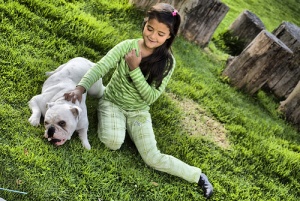 Un cane salva una bambina di tre anni che si era persa in un bosco