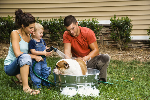 famiglia fa il bagno al cane