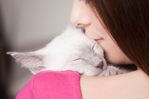 Siete amanti dei gatti o gatto-dipendenti?