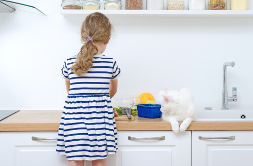 bambina in cucina e gatto bianco