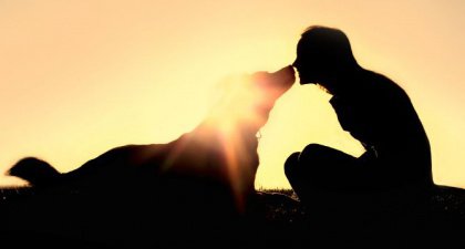 Imparate ad educare il cane alle emozioni
