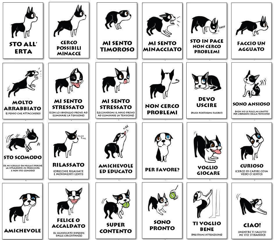 linguaggio-cani