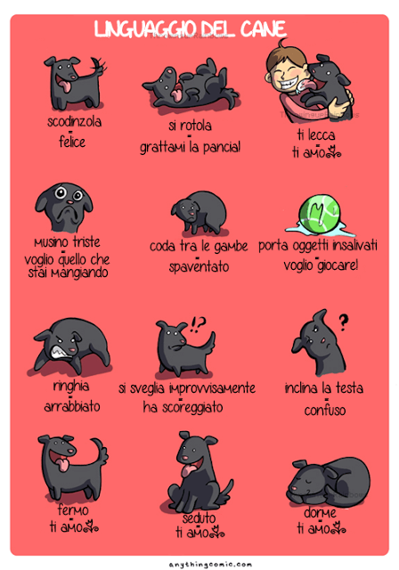 linguaggio-canino