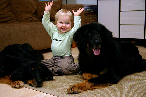 L'amore per gli animali nasce durante l'infanzia