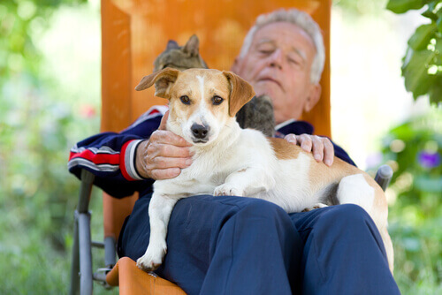 cane e signore anziano