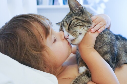 bambino bacia gatto