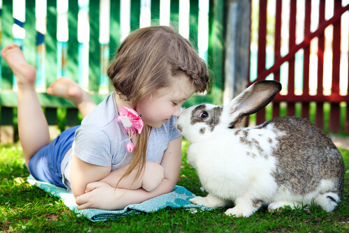 bambina e coniglio