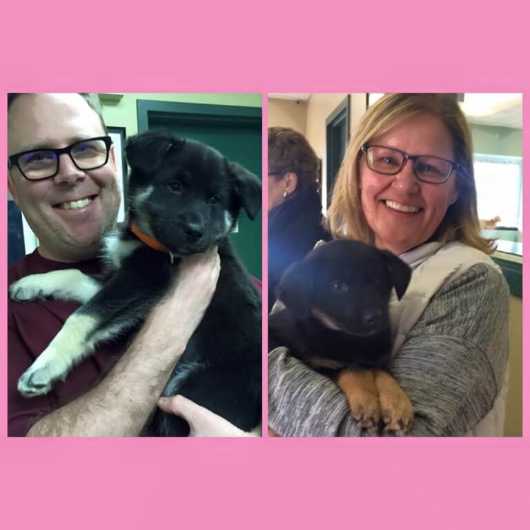 cagnolina-esce-dalla-gabbia-per-consolare-dei-cuccioli-2