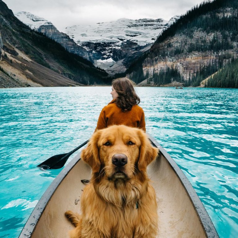 Aspen, il cane con 130mila follower su Instagram