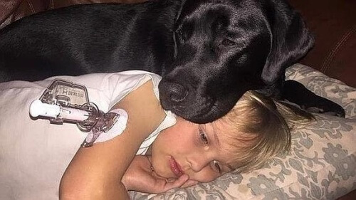 bambino malato con cane
