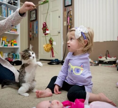 Bambina senza un braccio adotta un gattino con 3 zampe