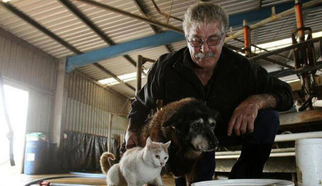 Fonte dell'immagine: www.laopiniondemurcia.es