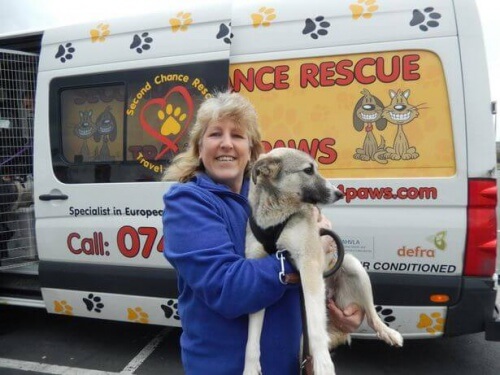 Cagnolina abbandonata stava per essere soppressa; adesso aiuta i malati