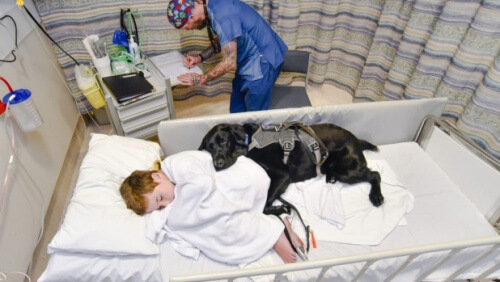 cane-e-bambino-nel-letto-dospedale