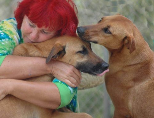 Una donna in Costa Rica usa tutti i suoi risparmi per salvare 200 cani abbandonati
