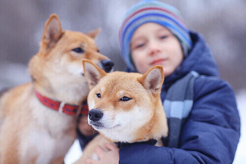 bambino-con-cani