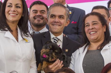 Città del Messico inaugura il primo ospedale veterinario pubblico