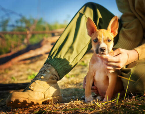 Scoprite se siete padroni responsabili