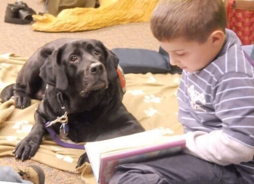 I cani facilitano l'apprendimento infantile