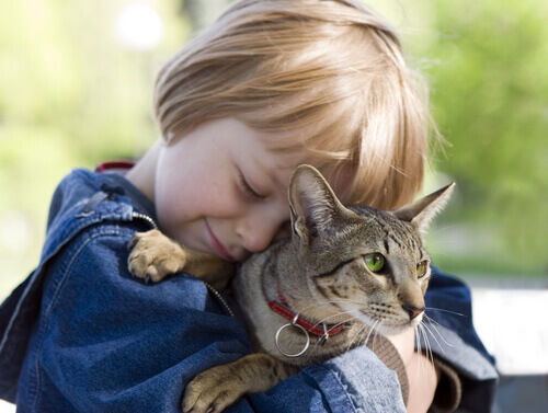 5 lezioni che i bambini possono imparare dai gatti