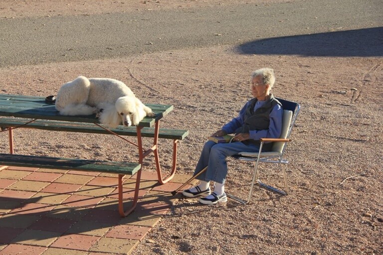 donna-di-90-anni-in-viaggio-con-il-cane