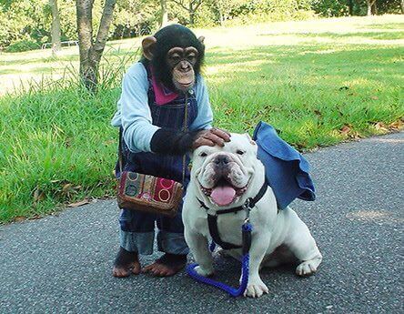 pankun-e-james-a-passeggio