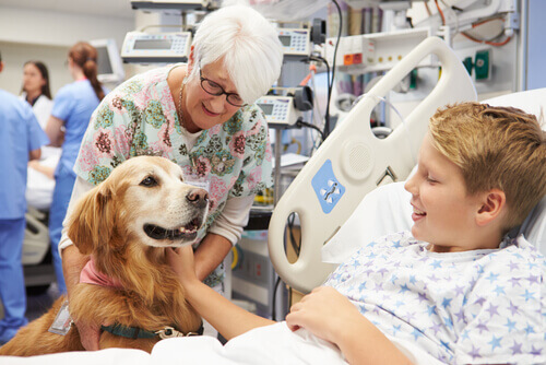 Cane con bambino in ospedale per pet therapy