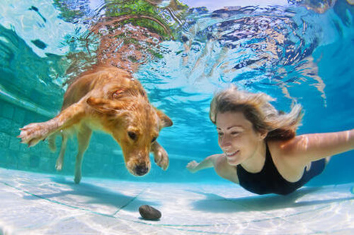 Grazie ad un'invenzione russa i cani potranno respirare sott'acqua