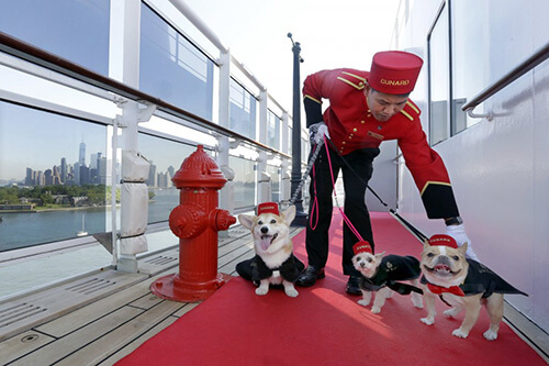 La nave da crociera Queen Mary ora è Pet Friendly!