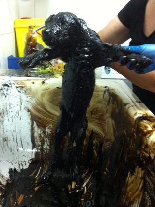 cuccioli-in-un-pozzo-di-catrame