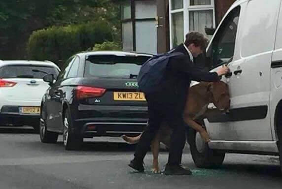 ragazzino-salva-la-vita-a-un-cane-soffocato-dal-guinzaglio