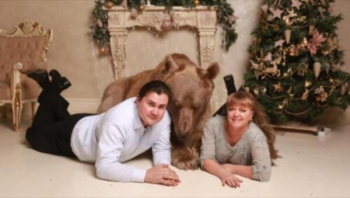 Stepan, l'orso domestico di una coppia russa